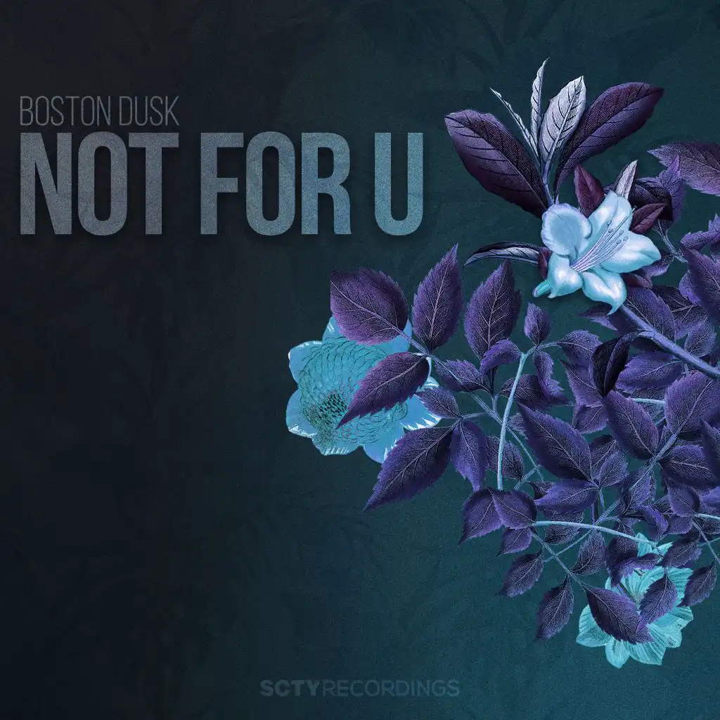 Not for U (Instrumental Mix)