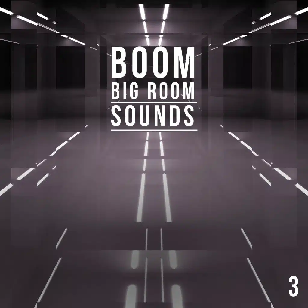 Boom, Vol. 3 - Big Room Sounds