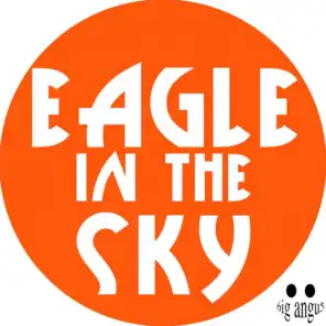 Eagle In The Sky