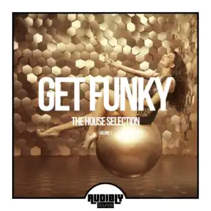 Get Funky (The House Selection), Vol. 2