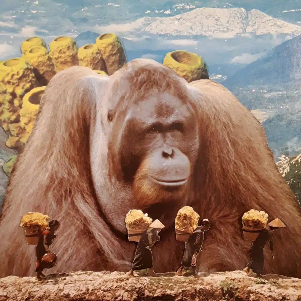 Orangutan Ep.