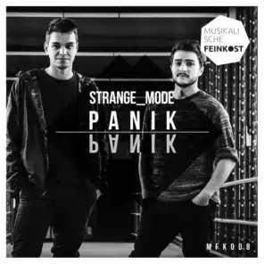 Panik (Schallfeld Remix)