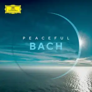 J.S. Bach: Suite for Cello Solo No.2 in D minor, BWV 1008: II. Allemande