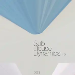 Sub-House Dynamics, Focus 10