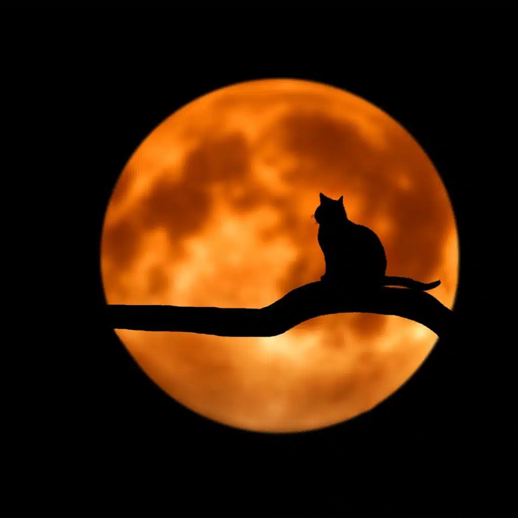 Peaceful & Powerful Relaxation Compilation - 30 Calming Tracks for Instant Relaxation