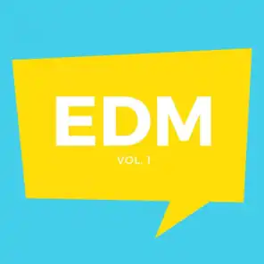 EDM, Vol. 1