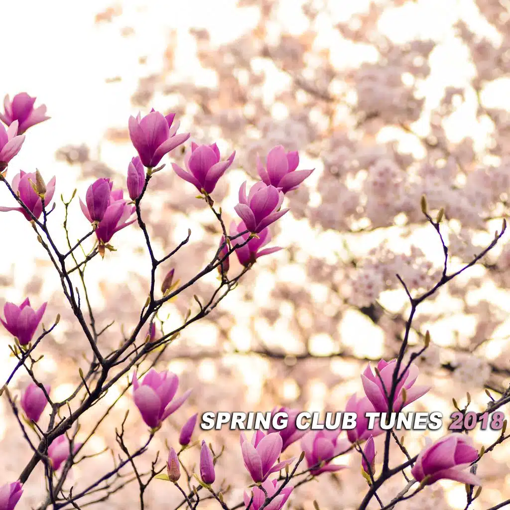 Spring Club Tunes 2018