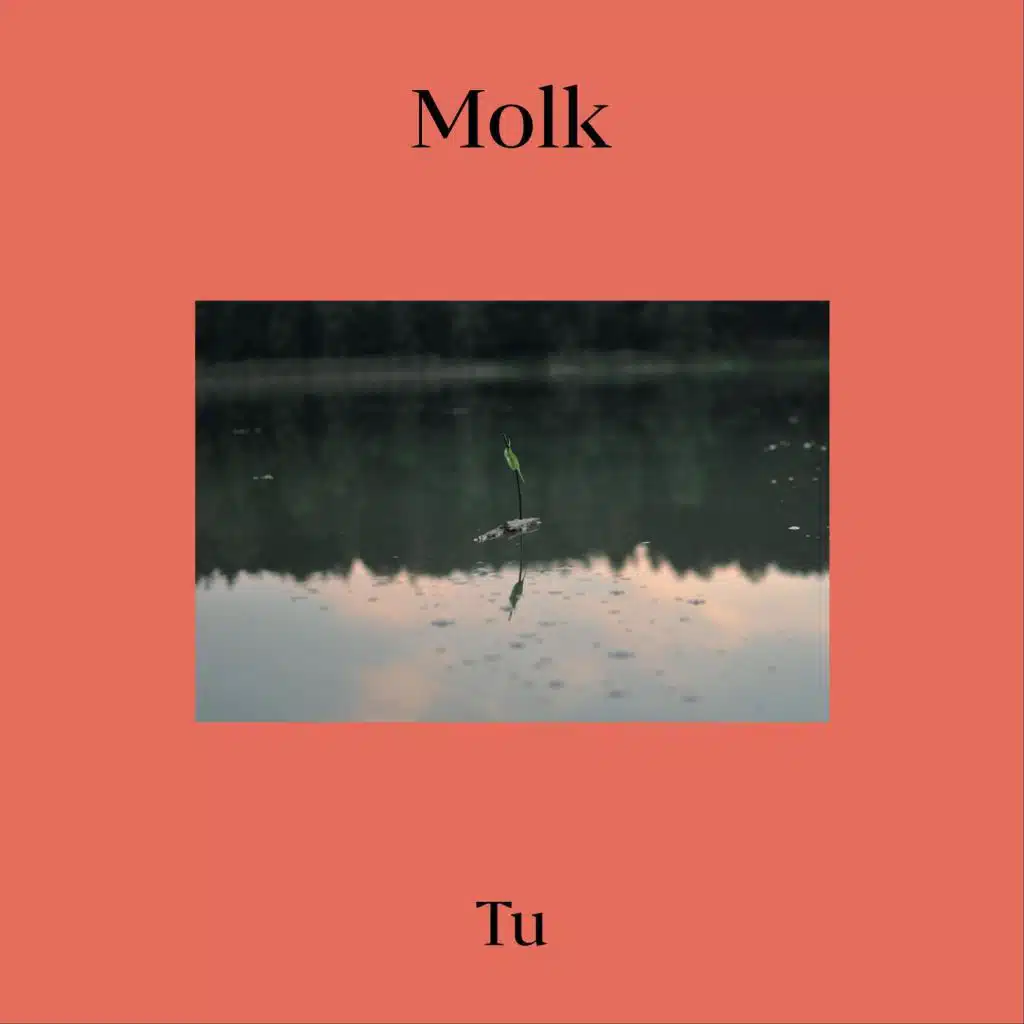 Tu
