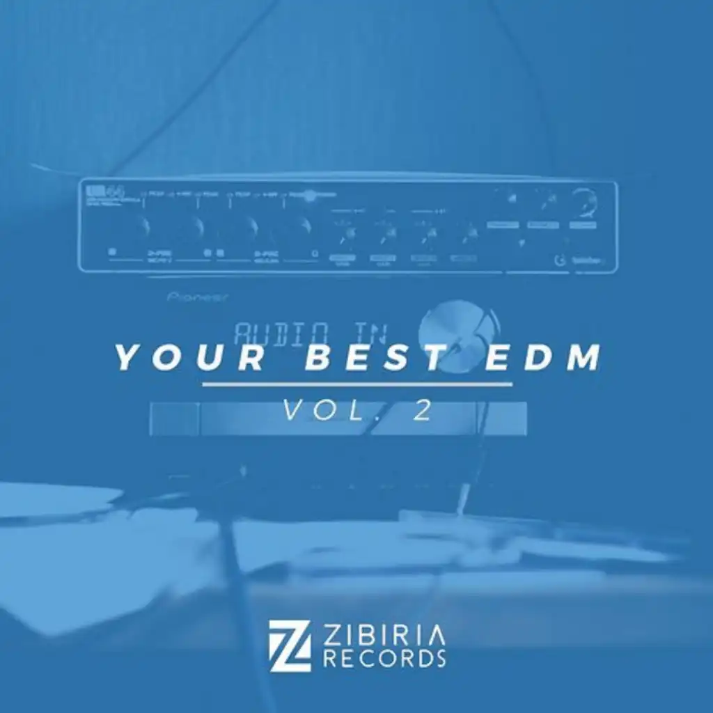 Your Best EDM, Vol. 2