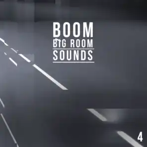 Boom, Vol. 4 - Big Room Sounds