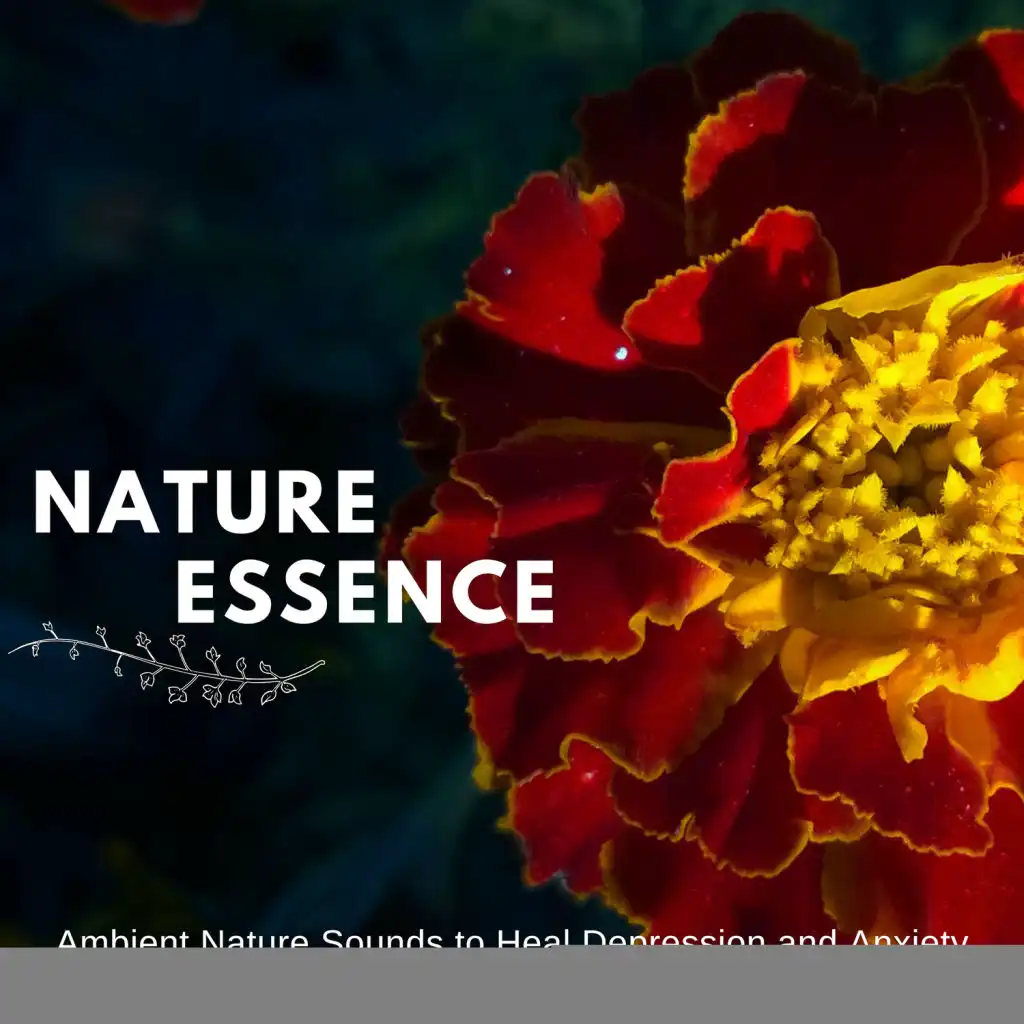 Nature Essence - Ambient Nature Sounds To Heal Depression And Anxiety