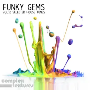 Funky Gems - Selected House Tunes, Vol. 12