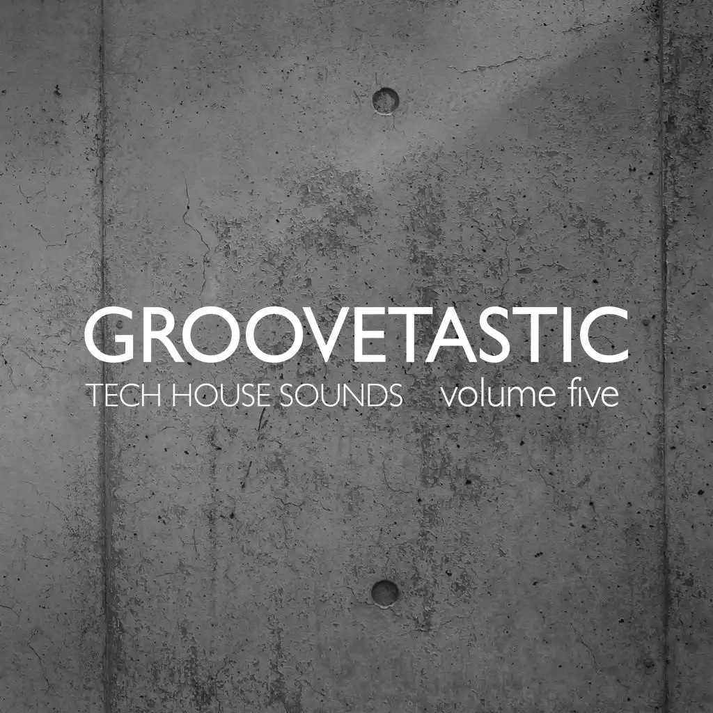 Groovetastic, Vol. 5 - Tech House Sounds