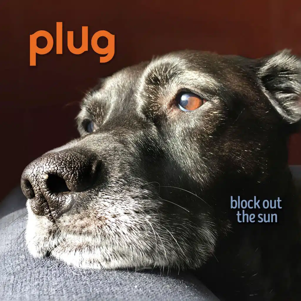 Block Out the Sun