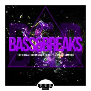 Bass & Breaks, Vol. 4