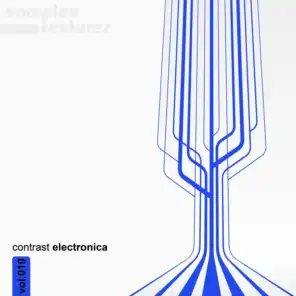 Contrast Electronica, Vol. 10