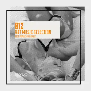 Hot Music Selection, Vol. 12