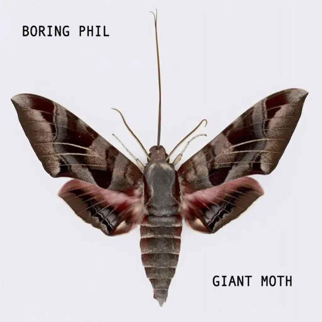 Giant Moth