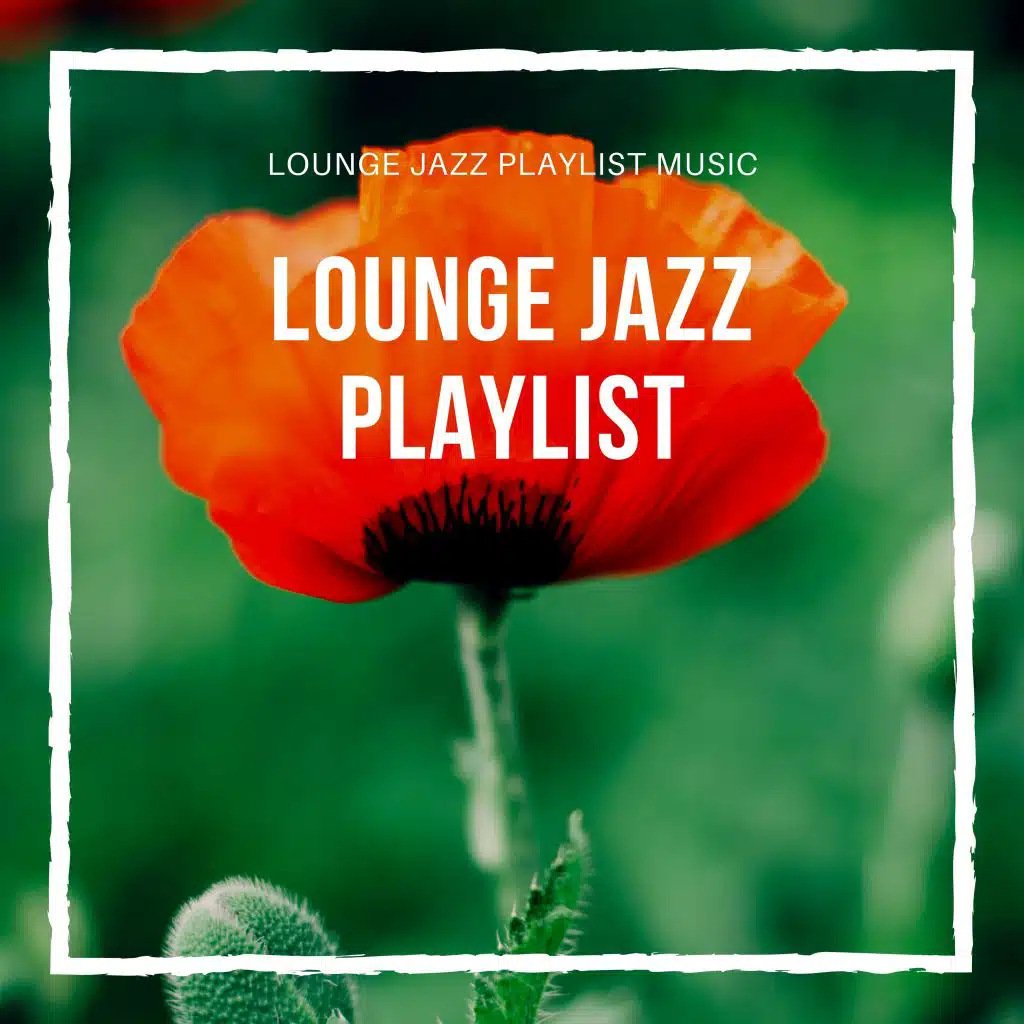 Lounge Jazz Playlist Music