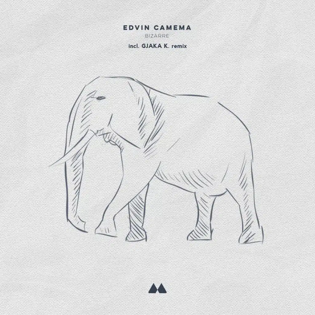 Bizarre (Gjaka K. Remix)