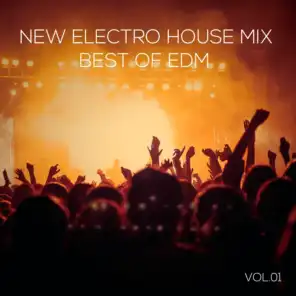 New Electro House Mix Best of EDM, Vol. 01