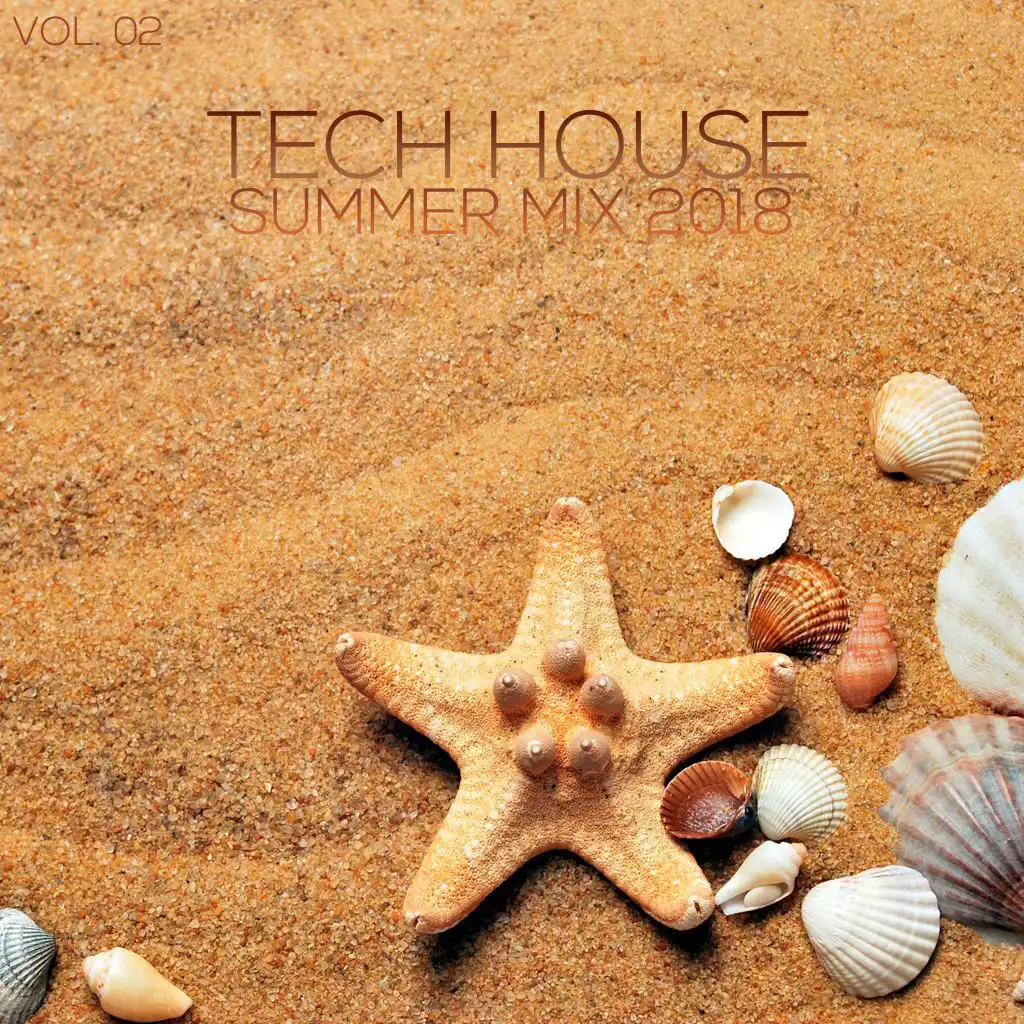 Tech House Summer Mix 2018, Vol. 02
