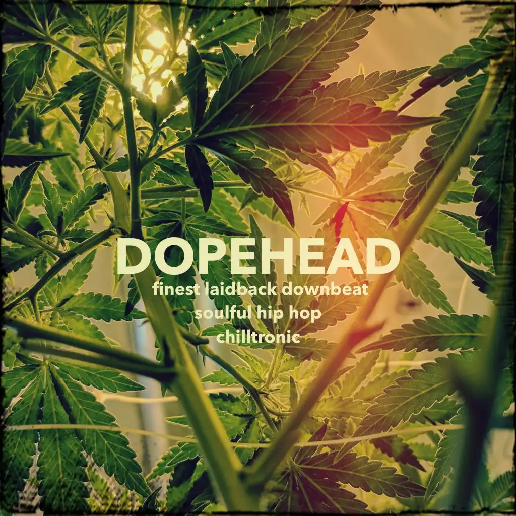 Dopehead