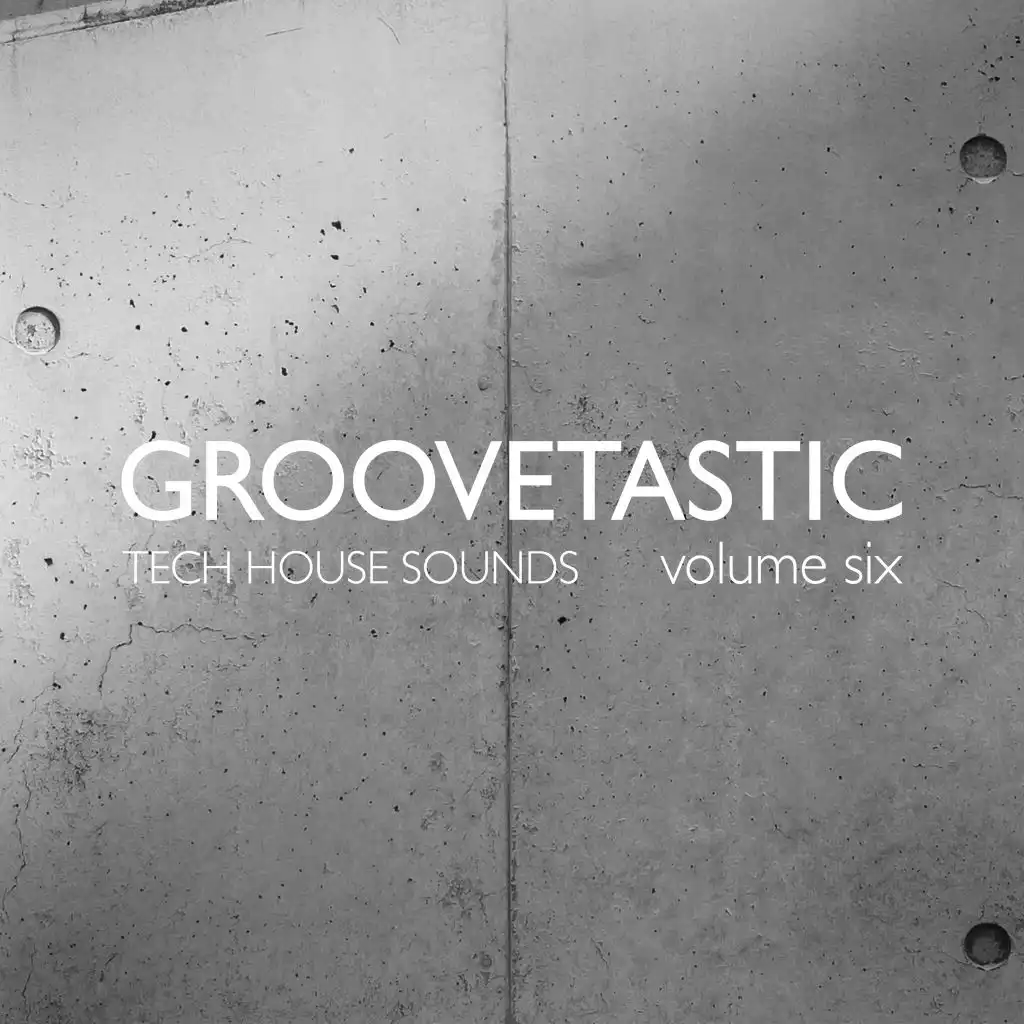 Groovetastic, Vol. 6 - Tech House Sounds