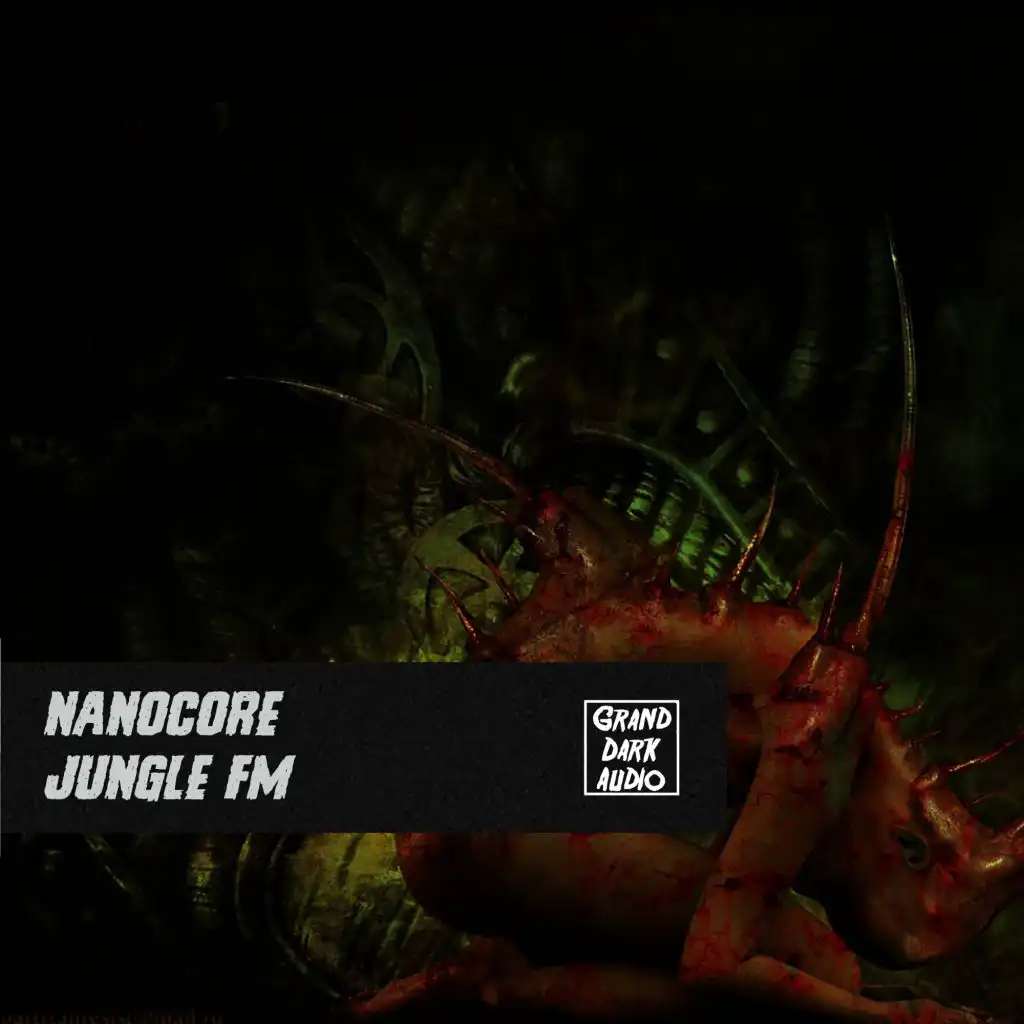 Jungle Fm