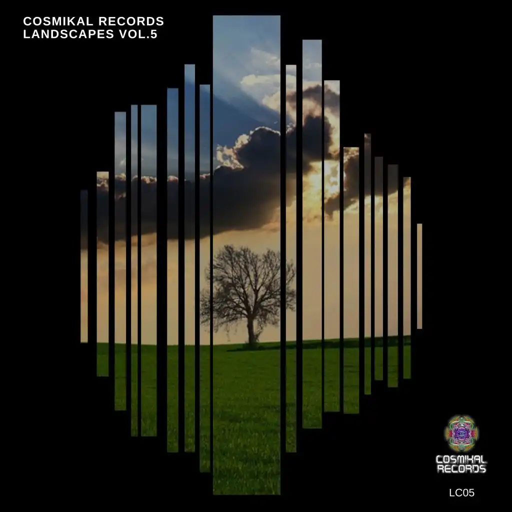 Cosmikal Records Landscapes, Vol. 5