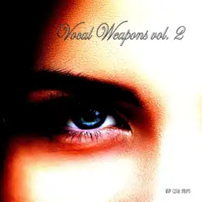 Vocal Weapons, Vol. 2 (Compiled & Mixed by Disco Van)