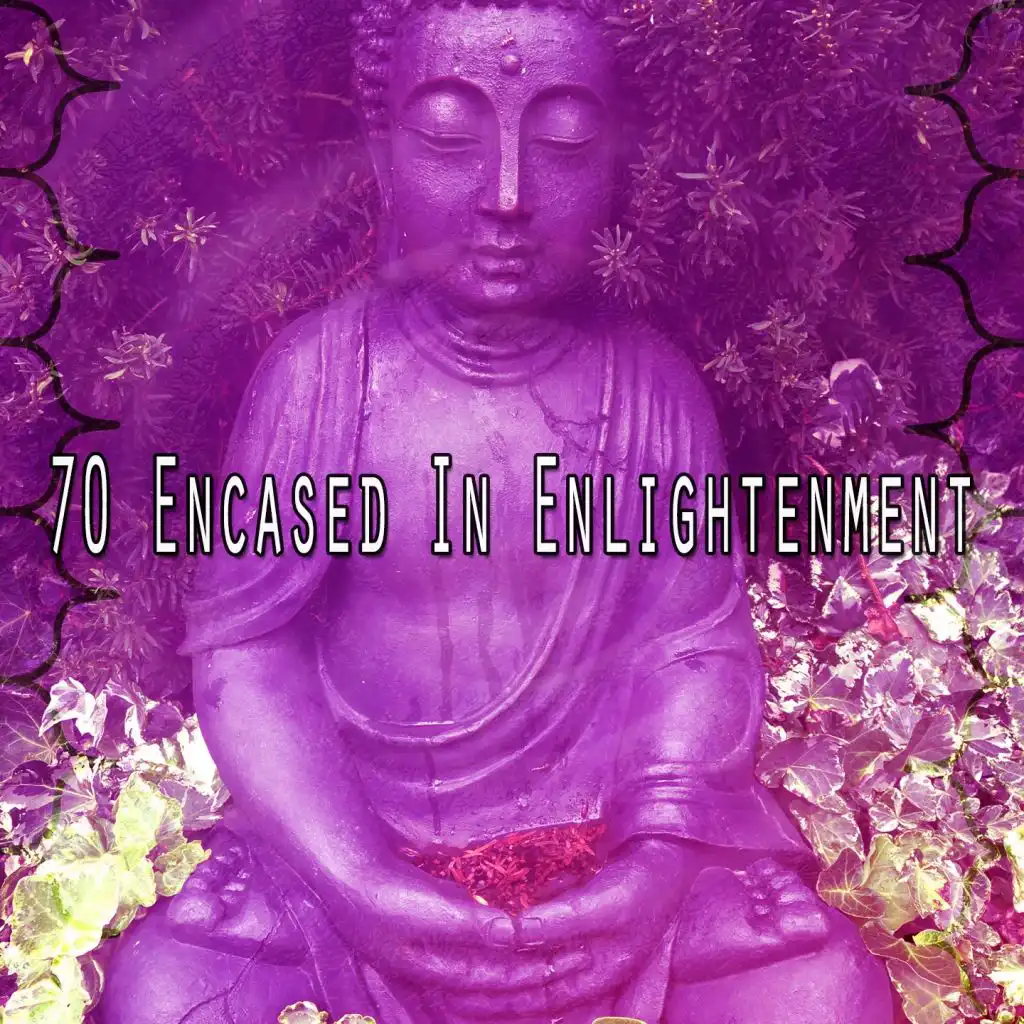 70 Encased in Enlightenment