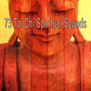 73 Tai Chi Spiritual Sounds