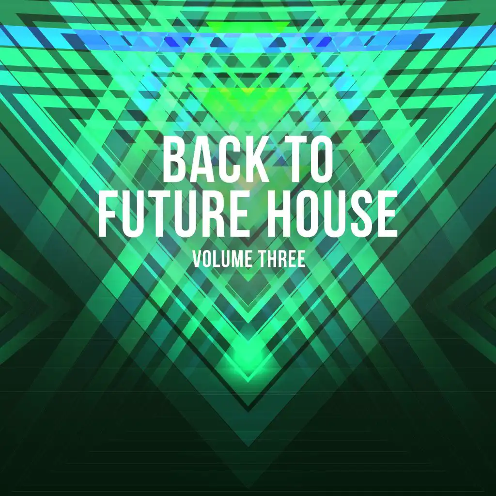 Back to Future House, Vol. 3