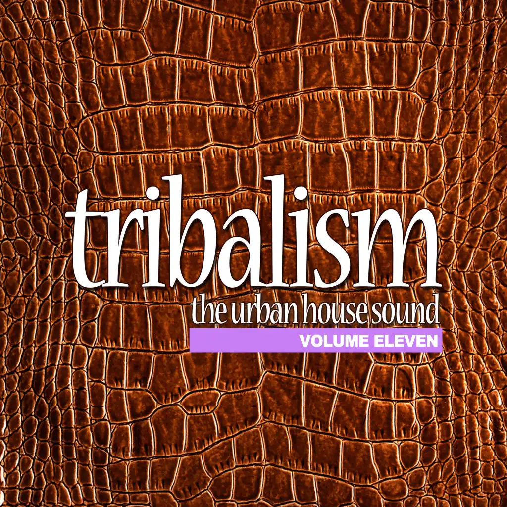 Various Artists - Tribalism, Vol. 11 - The Urban House Sound