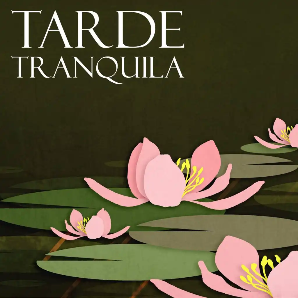 Tarde Tranquila