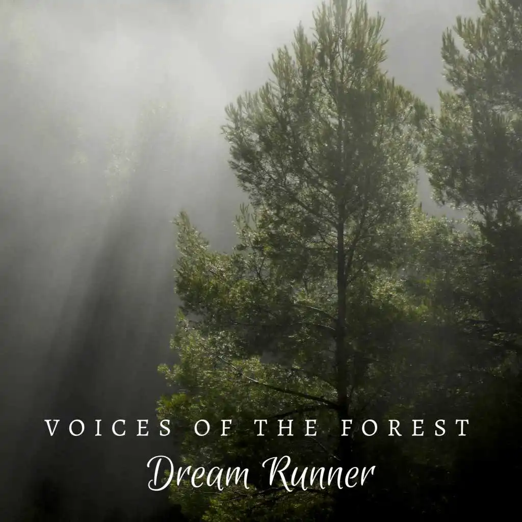 Voices Of The Forest