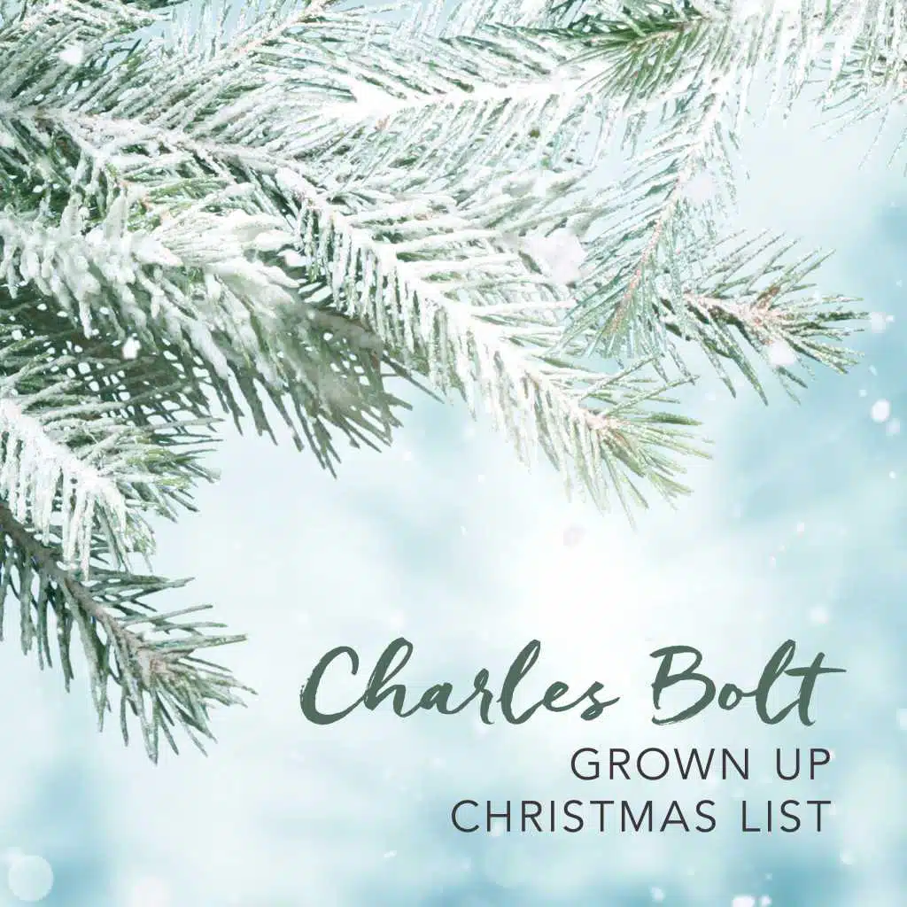 Grown Up Christmas List