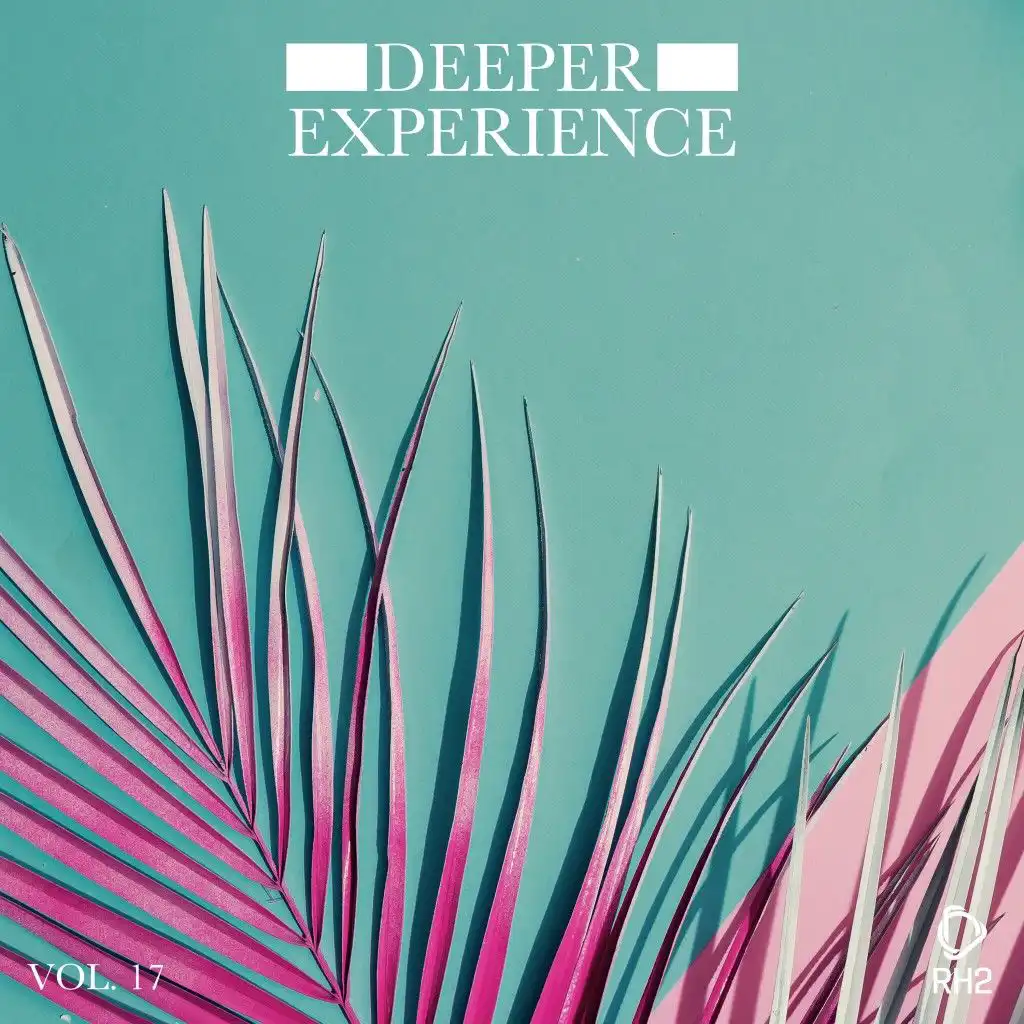Deeper Experience, Vol. 17
