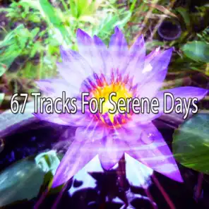 67 Tracks for Serene Days