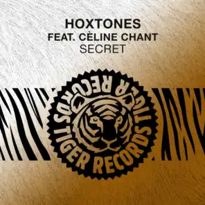 Secret (Hoxtones Mix)