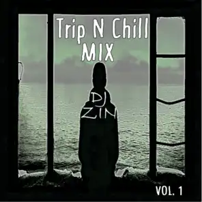 Trip N' Chill Mix, Vol. 01