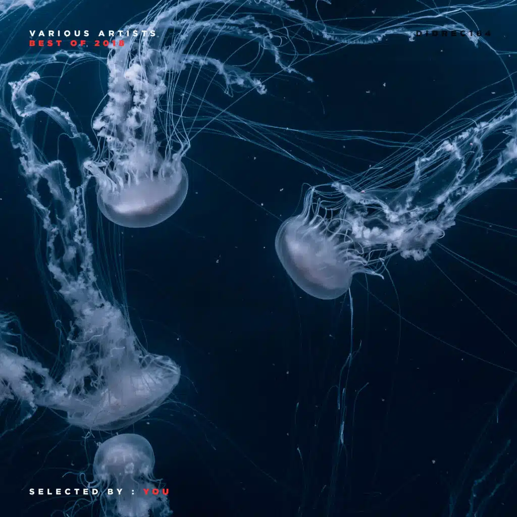 Ken Ishii, Funk D'Void