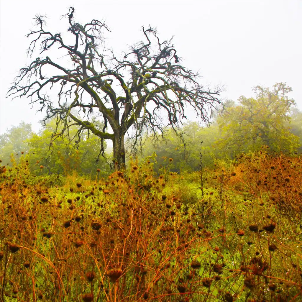 During Wind and Rain