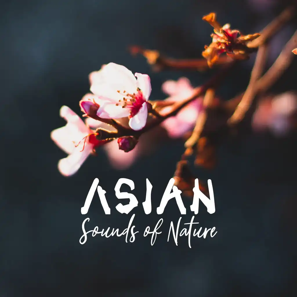 Asian Sounds of Nature: Deeply Relaxing Music for Rest, Spa, Sleep, Massage, Relaxation, Treatment, Therapy, Meditation and Yoga Exercises