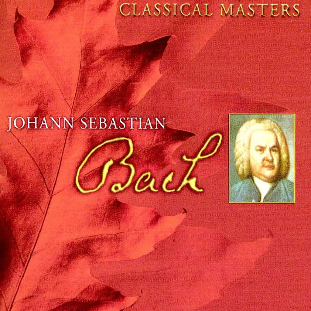 Brandenburg Concerto No. 6 in B-Flat Major, BWV 1051: II. Adagio ma non tanto