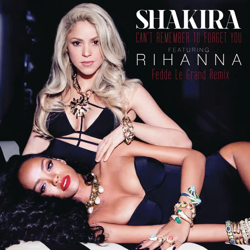 Can't Remember to Forget You (Fedde Le Grand Remix) [feat. Rihanna]