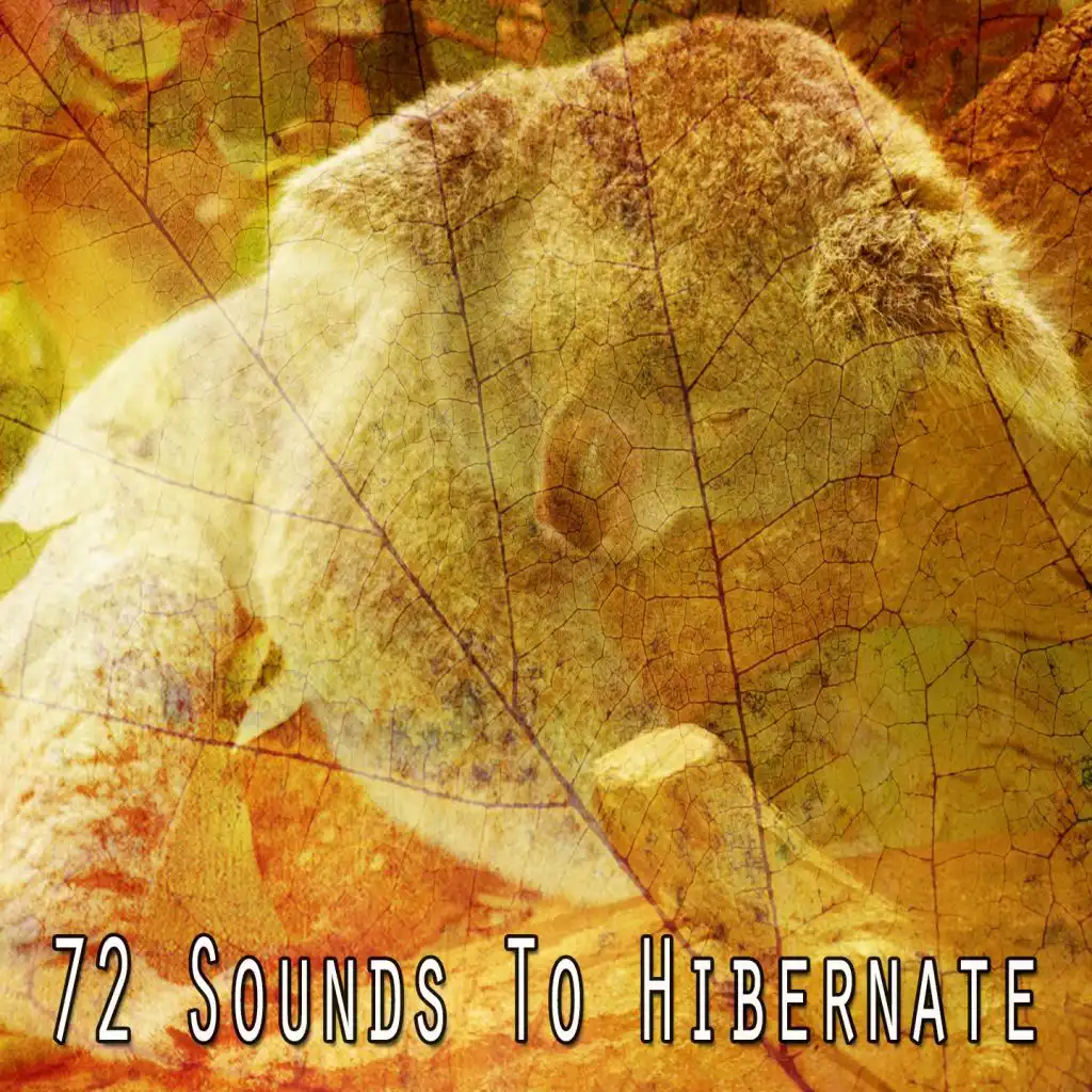 72 Sounds to Hibernate