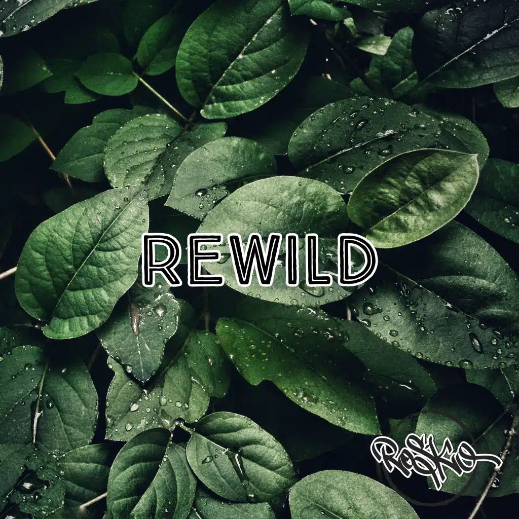 Rewild
