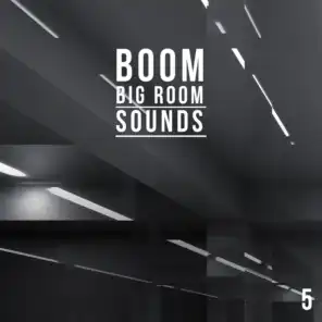Boom, Vol. 5 - Big Room Sounds